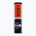 Palline da tennis Dunlop Fort Clay Court 4B 2025