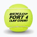 Palline da tennis Dunlop Fort Clay Court 4B 2025 3
