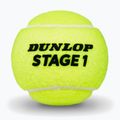 Palline da tennis Dunlop Stage 1 3 pack green 3