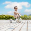 Bicicletta senza pedali a tre ruote Globber Learning Trike 2w1 Plus Ecologic pistachio 11