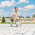 Bicicletta senza pedali a tre ruote Globber Learning Trike 2w1 Plus Ecologic pistachio 13