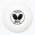 Palline da ping pong Butterfly 120 pezzi bianche.