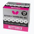 Palline da ping pong Butterfly 120 pezzi bianche. 2