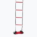 Scala di coordinamento Wilson Ladder rosso Z2542+