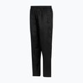Pantaloni da trekking da uomo REGATTA Pack It Overtrousers black 9