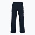 Pantaloni da allenamento da uomo Mizuno Takeshi Track navy