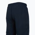 Pantaloni da allenamento da uomo Mizuno Takeshi Track navy 4
