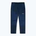 Pantaloni da trekking da uomo Berghaus Fast Hike dusk 10