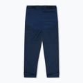 Pantaloni da trekking da uomo Berghaus Fast Hike dusk 11