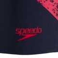 Pantaloncini da bagno Speedo Boomstar Placement da uomo, blu/rosso 3