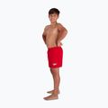 Speedo Essential 13" pantaloncini da bagno per bambini fed red 2