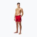 Speedo Essentials 16" Watershort Uomo fed pantaloncini da bagno rossi 2