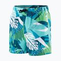 Speedo pantaloncini da bagno per bambini Stampato 13" verde/blu