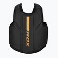 RDX F6 Chest Guard oro opaco