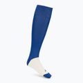 Calze Mizuno Trad royal