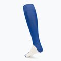 Calze Mizuno Trad royal 2