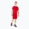 Maglietta da allenamento Mizuno Premium Handball uomo rosso X2FA9A0262 2