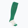 Calze Mizuno Japan green
