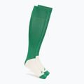Calze Mizuno Trad green