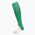 Calze Mizuno Trad green 2