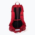 Zaino da trekking Berghaus Remote Hike 25 l bacche di goji/red dahlia 2