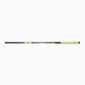 Asta Matrix Torque Carp Pole