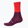 Endura Baa Baa Merino calze da ciclismo Inverno melograno