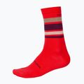 Endura BaaBaa Merino Stripe calzini da ciclismo melograno