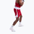 Pantaloncini da allenamento uomo Boxraw Stevenson V2 red/white 6