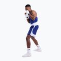 Pantaloncini da allenamento uomo Boxraw Stevenson V2 blue/white 8
