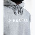 Felpa da uomo Boxraw A.B.C. Hoodie grey 8