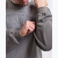 Felpa da uomo Boxraw East Street Sweatshirt distressed grey 8