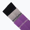 Calzini da donna Endura Coolmax Race 3 pairs W end purple 6