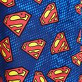 Pantaloncini da bagno per bambini Zoggs Superman blu 2