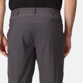 Pantaloni da trekking da uomo REGATTA Highton grigio foca 5