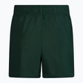 Pantaloncini da bagno Nike Essential 5" Volley Uomo galactic jade 2