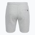 Pantaloncini Ellesse Bossini da uomo grigio marna 6