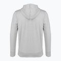 Felpa Ellesse Briero uomo grigio marna 6