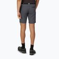 Pantaloncini da trekking da uomo Regatta Xert Stretch III seal grey 3