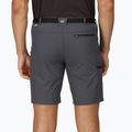 Pantaloncini da trekking da uomo Regatta Xert Stretch III seal grey 5