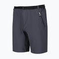 Pantaloncini da trekking da uomo Regatta Xert Stretch III seal grey 8