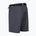 Pantaloncini da trekking da uomo Regatta Xert Stretch III seal grey 9