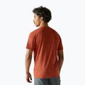 Maglietta da trekking da uomo REGATTA Fingal Edition rusty orange 3