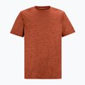Maglietta da trekking da uomo REGATTA Fingal Edition rusty orange 5