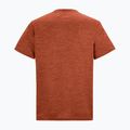 Maglietta da trekking da uomo REGATTA Fingal Edition rusty orange 6