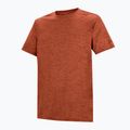 Maglietta da trekking da uomo REGATTA Fingal Edition rusty orange 7