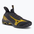 Scarpe da pallavolo uomo Mizuno Wave Lightning Neo2 nero V1GA220241