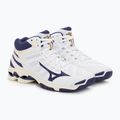 Scarpe da pallavolo da uomo Mizuno Wave Voltage Mid bianco/nastro blu/mp oro 5