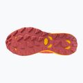 Scarpe da corsa da donna Mizuno Wave Daichi 8 GTX nasturzio/citrus/cranberry 6