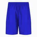 Pantaloncini da bagno da bambino Nike Essential 4" Volley game royal 2